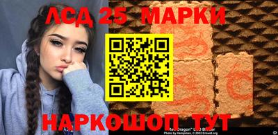 дмт Бердск