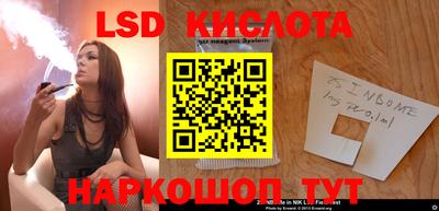 дмт Бердск