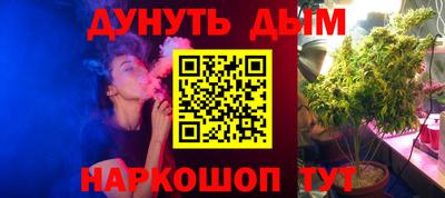 дмт Бердск