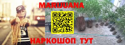 дмт Бердск