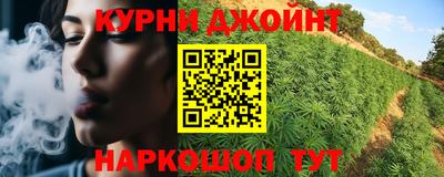 дмт Бердск