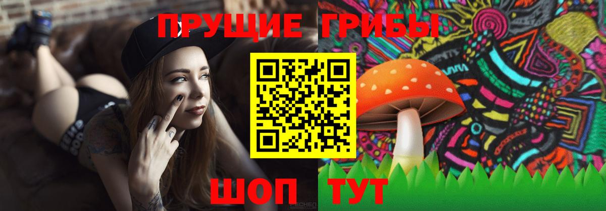 Галлюциногенные грибы MAGIC MUSHROOMS  Вход с VPN  Богородск  Галлюциногенные грибы Psilocybe 